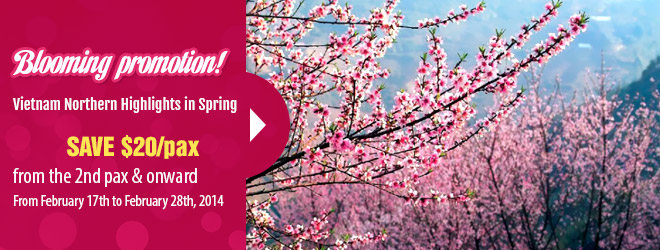 Blooming Promotion for Spring - Vietnam Northern Highlights Tour