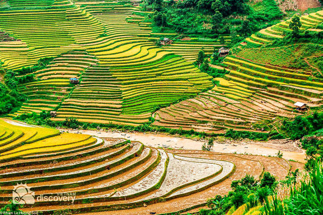 Beautiful terrace fields in Sapa - Vietnam Northwest Tour 12
