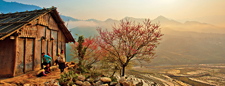 Cheap Asia Tours