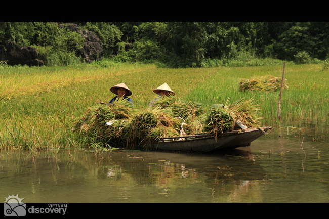A farming day in Van Long Nature Reserve