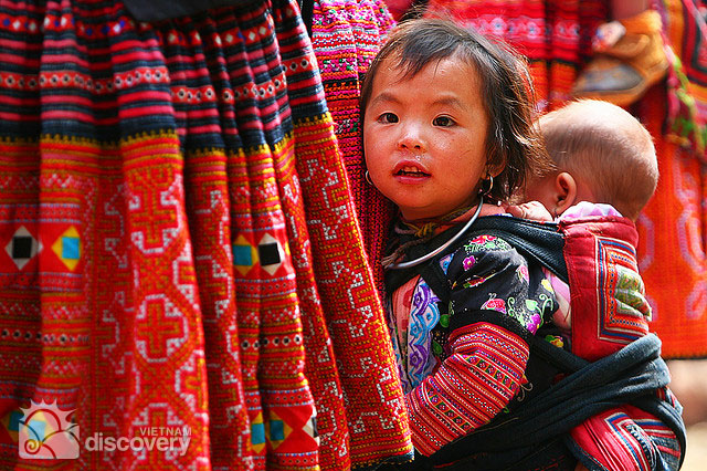 Vietnam Northern Highlights