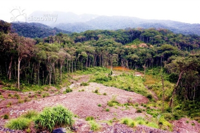 Bidoup Nui Ba National Park - Vietnam trekking tours
