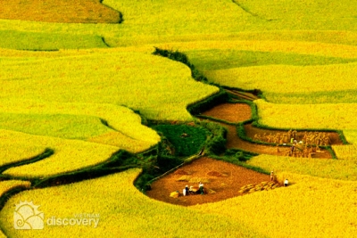 Sapa terrace paddy field - sapa tours