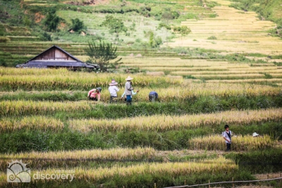 Daily life in Ta Phin Village - Sapa Vietnam Tours