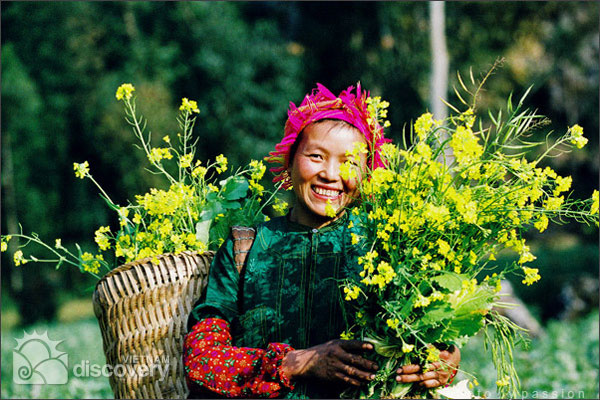 Spectacular Sapa hiking trip