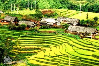 Ideal tour to discover Vietnam - Sapa tours