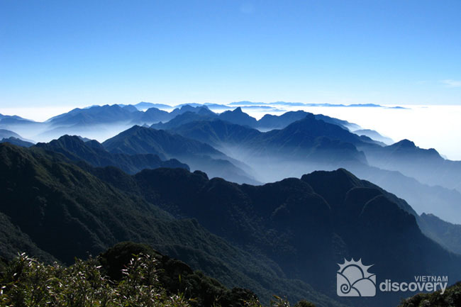 Conquering Fansipan Peak - The Roof of Indochina