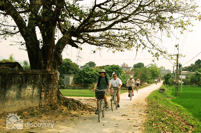 One day cycling and rowing tour at Star Eco-resort and Galaxy Grotto