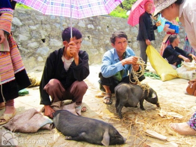 Bac Ha market on Sunday tours