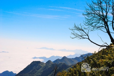 Conquering Fansipan in Sapa - Vietnam Northwest Tours & Highlights