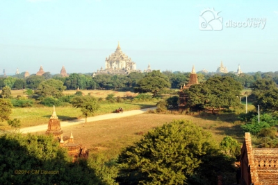 View toward Thatbyinnyu Pagoda in Bagan - Myanmar Tour from Vietnam