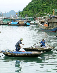 Daily life at Cua Van Fishing Village Halong Tour