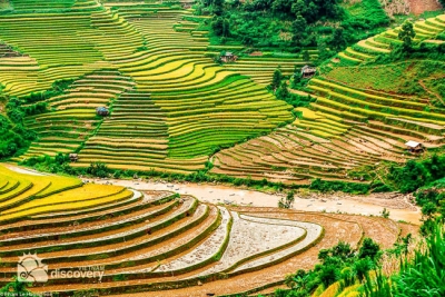 Beautiful terrace fields in Sapa - Vietnam Northwest Tour 12