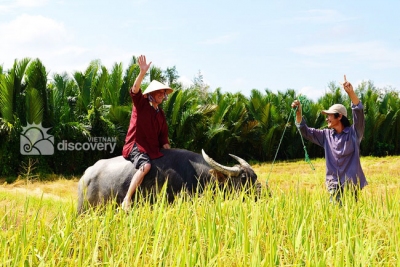 Happy tourist on the back of water buffalo - Hoi An