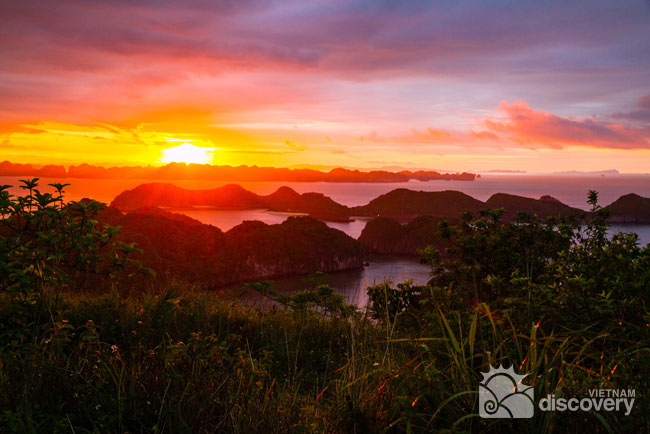 Lan Ha Bay Insight 