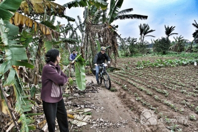 Cycling through the vegetable farmlands -Hanoi full day tour