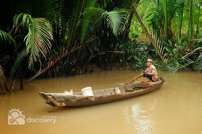 Discover legendary coconut land of Ben Tre in Mekong Delta