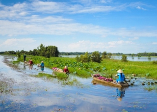 Mekong Delta travel
