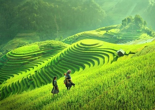 Sapa travel
