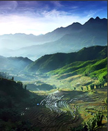 Sapa